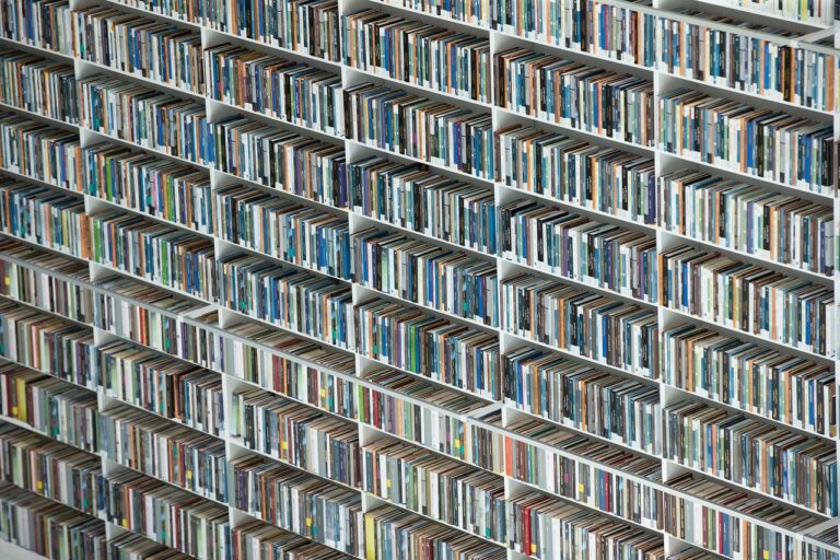 Understanding the Importance of Bilingual Education