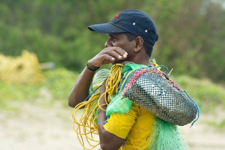 Exploring Proportional Representation Systems