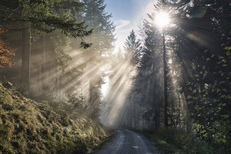 Exploring Ancient Temples and Shrines